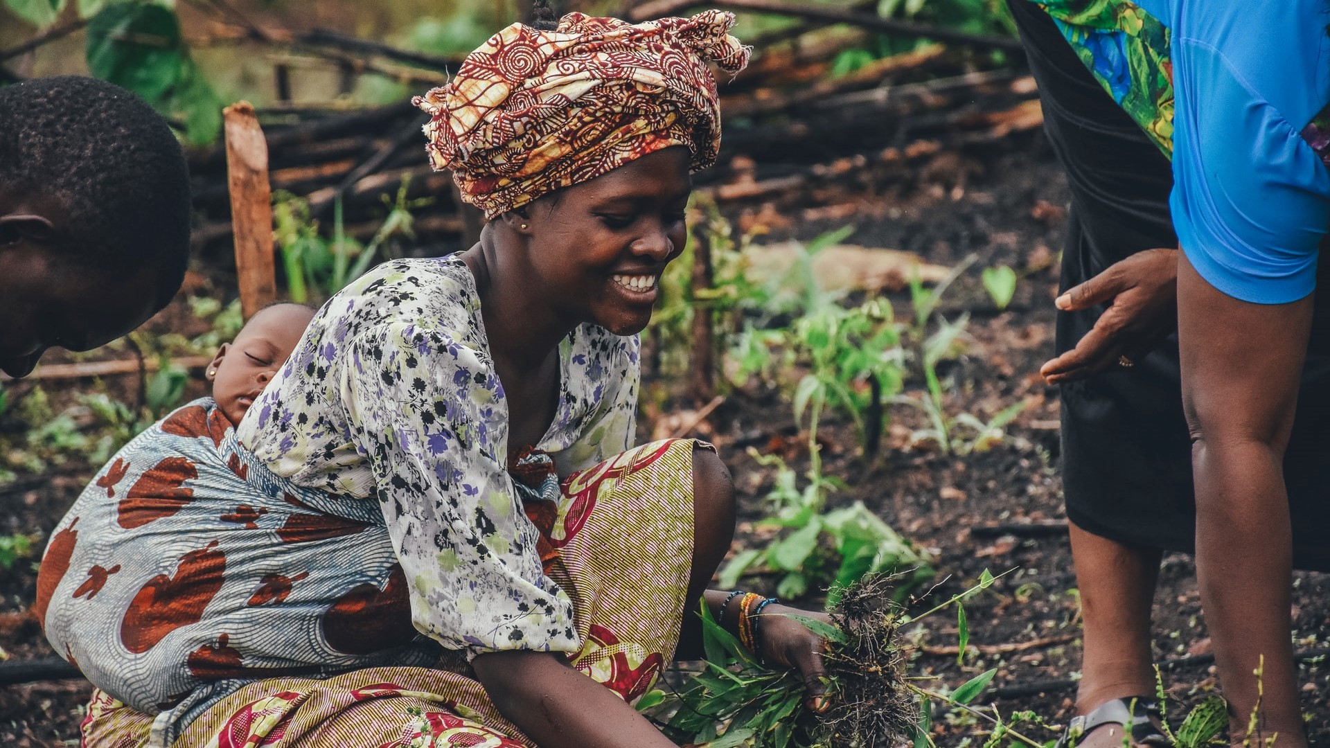 A woman works on a farm in Sierra Leone.