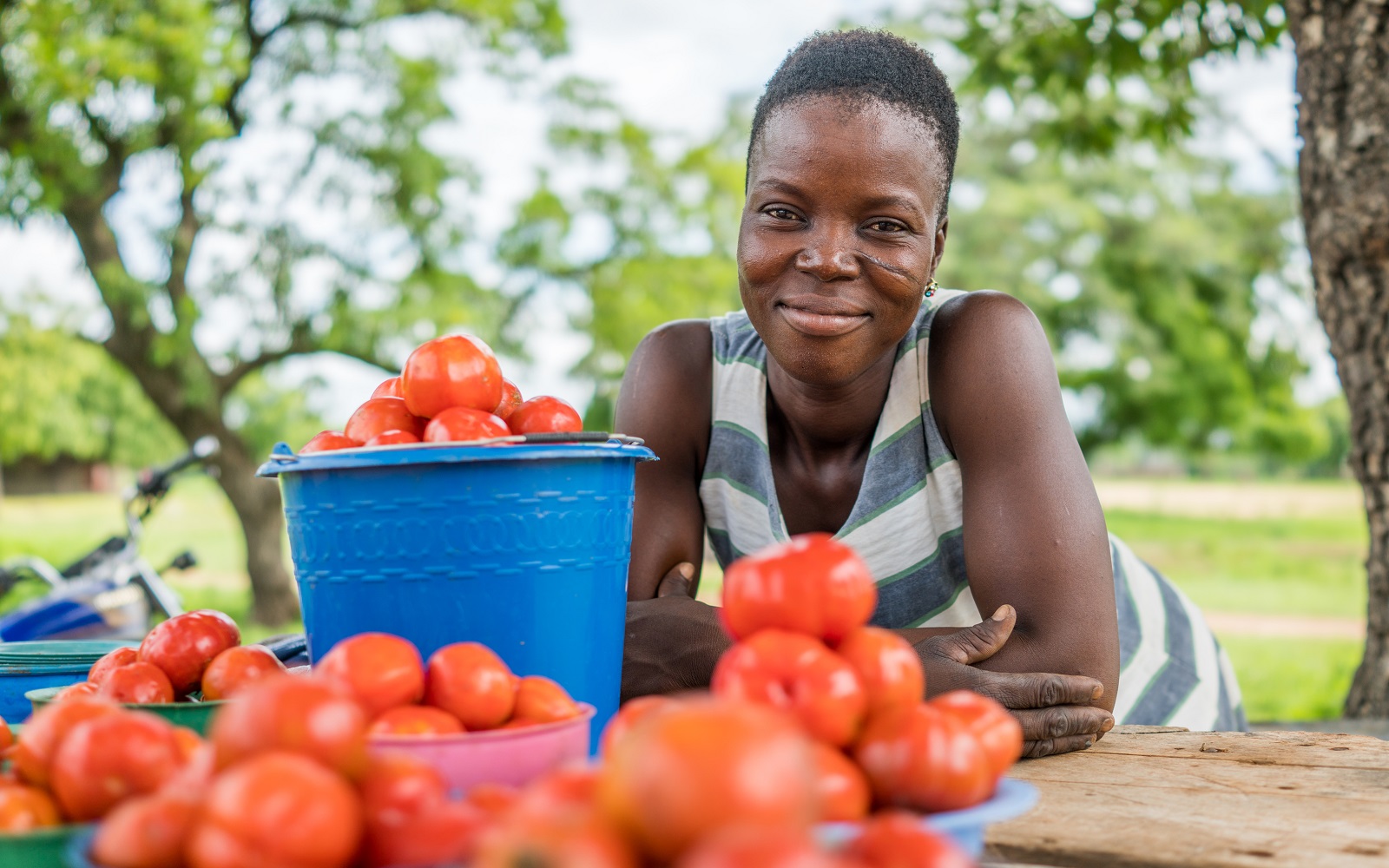 Alumni Network Bill & Melinda Gates Foundation
