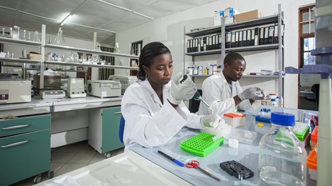 Lab technicians conducting mosquito research at Ifakara Health Institute in Tanzania. 