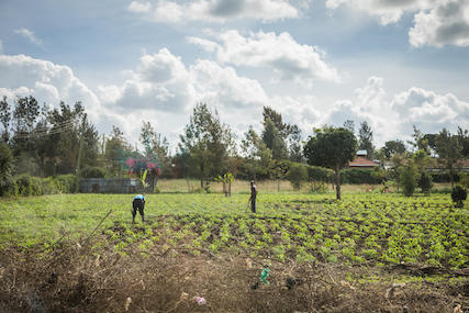 farmers in field