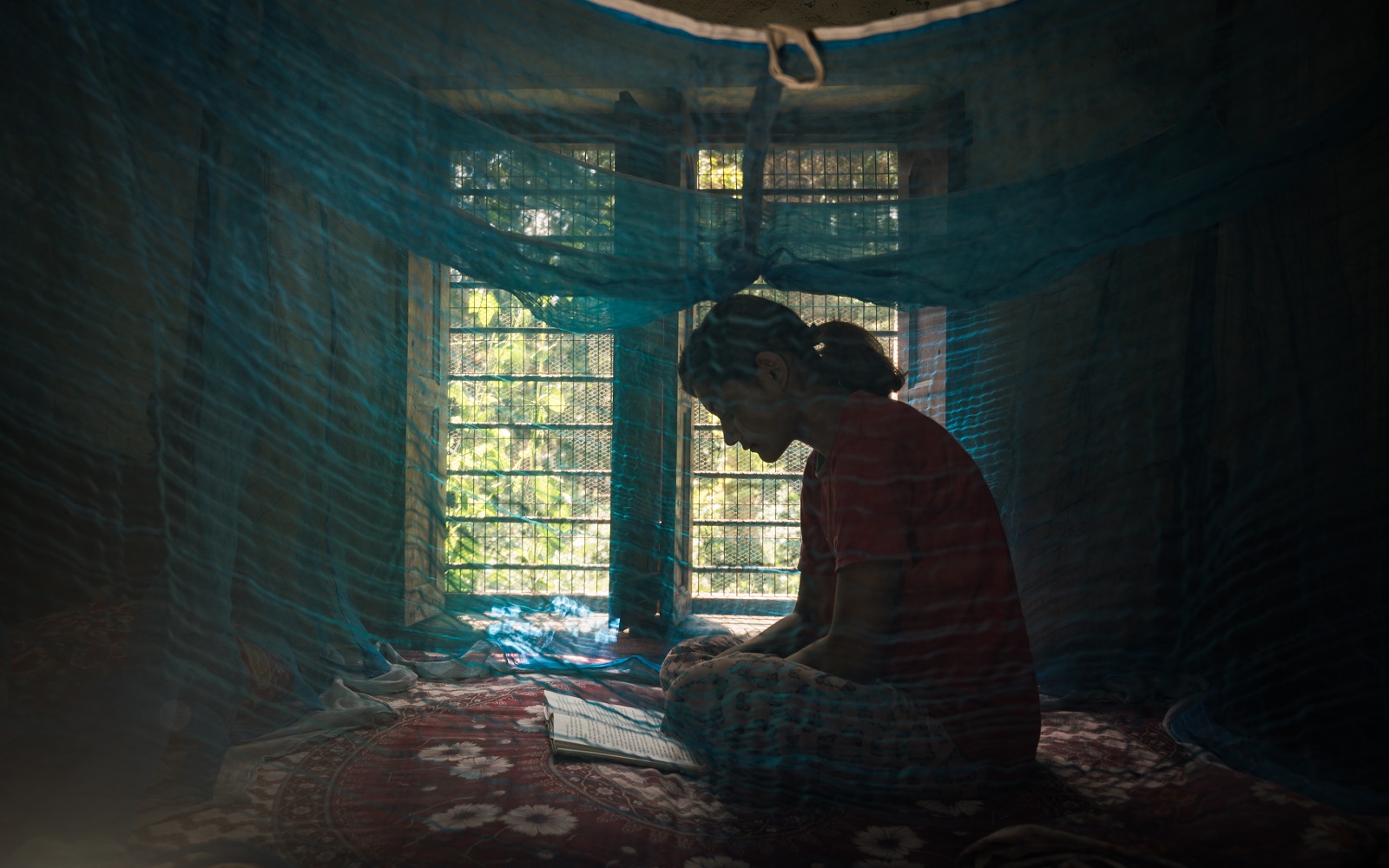 How Affordable Monoclonal Antibodies Can Save More Lives | Bill & Melinda Gates Foundation - Vimarsana News