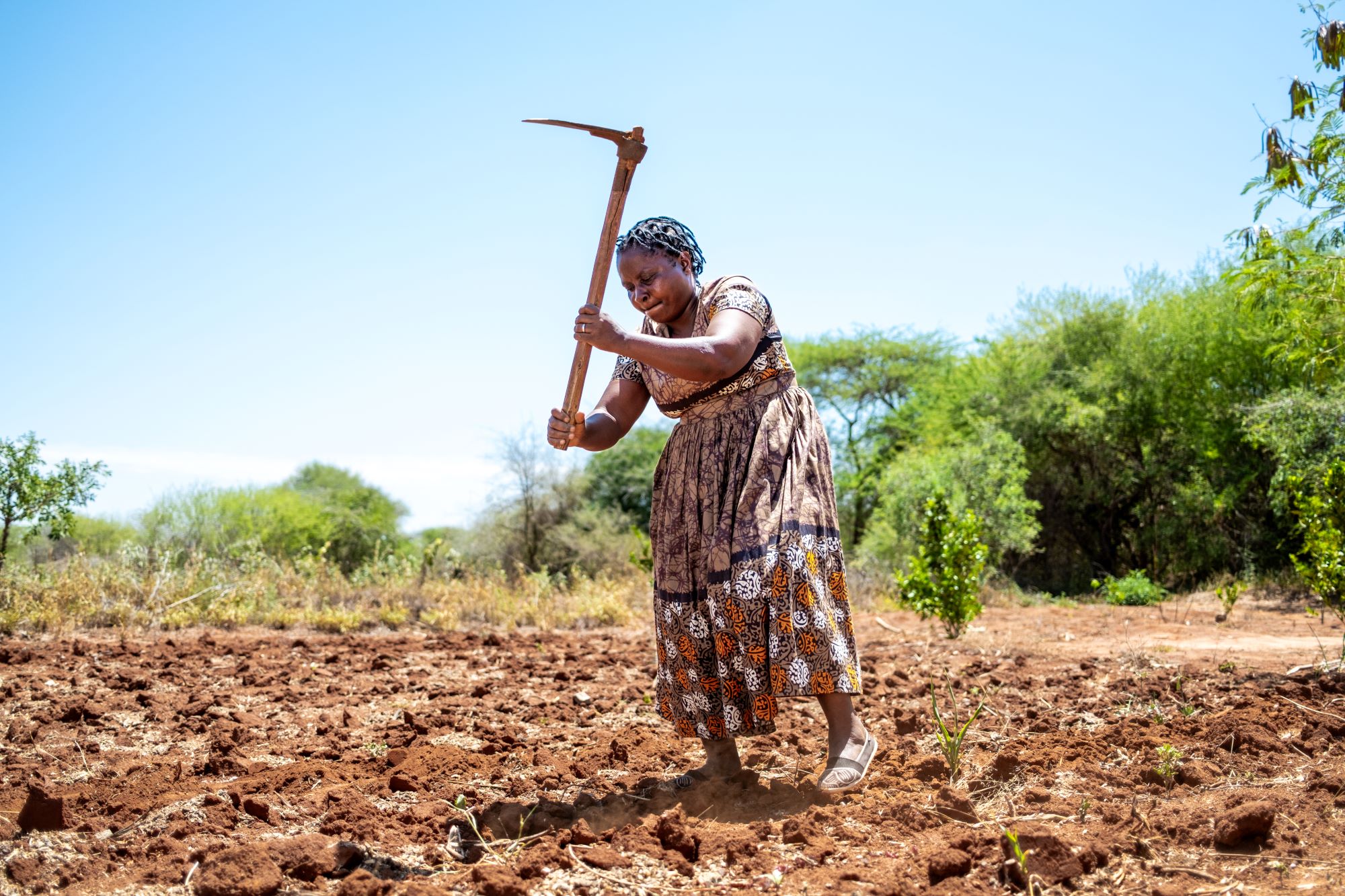 Phoebe Mwangangi, a farmer, ploughs her land in Wote, Makueni County, Kenya, on March 15, 2025. Makueni County has implemented E-MOTIVE (Early Detection and Treatment of Postpartum Hemorrhage), which is focused on reducing maternal deaths from postpartum hemorrhage (PPH), a major cause of maternal mortality.