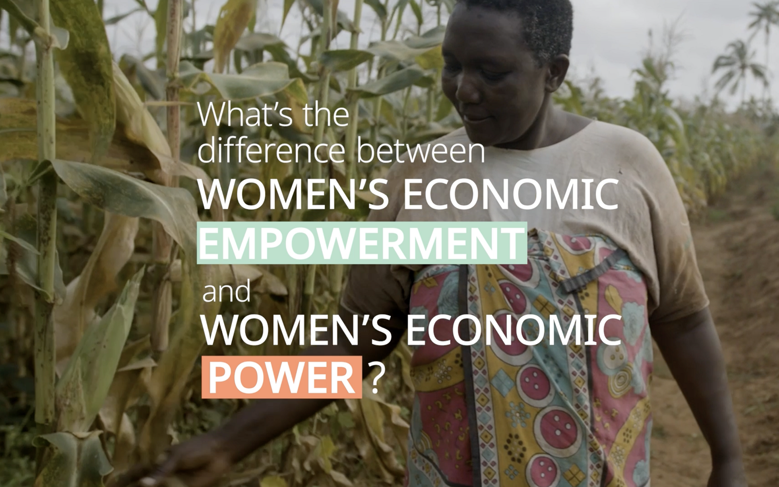 What's the difference between Women's Economic Empowerment and Women's Economic Power?