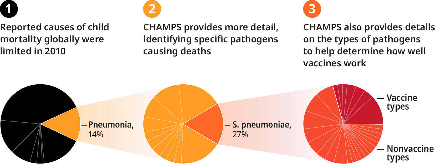 Pie charts showing how CHAMPS data provides additional information about which pathogens and specific serotypes are cause child deaths, guiding the development of improved treatments and vaccines.