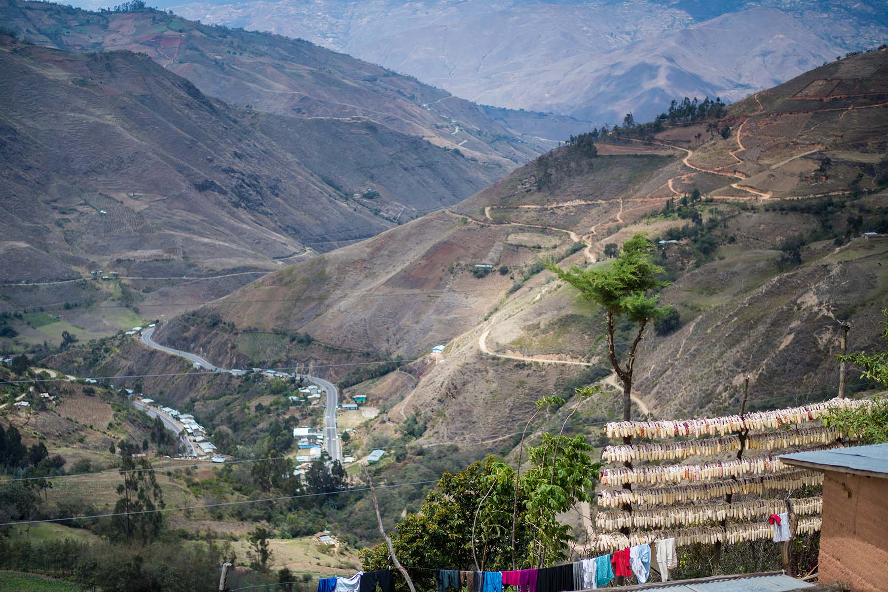 Picture of corn, seen drying on lines outside homes, is an important local source of nutrition. (Sogobamba, Peru)